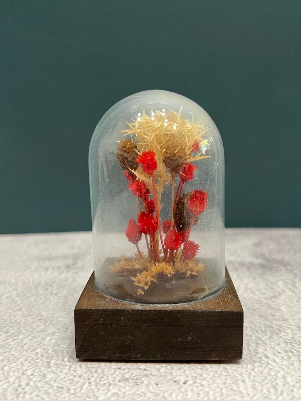 Vintage 70s Mid Century Modern Mini Dried Floral Cloche Flower Dome Terrarium